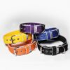 El Perro Halsband 40 mm Halsband Wonder Collars