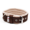 El Perro Halsband 40 mm Halsband Wonder Collars