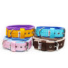 El Perro Halsband 40 mm Halsband Wonder Collars