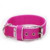 El Perro Halsband 40 mm Halsband Wonder Collars