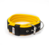 El Perro Halsband 40 mm Halsband Wonder Collars