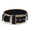 El Perro Halsband 40 mm Halsband Wonder Collars