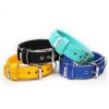 El Perro Halsband 40 mm Halsband Wonder Collars