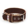 El Perro Halsband 40 mm Halsband Wonder Collars