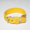 El Perro Halsband 40 mm Halsband Wonder Collars