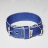 El Perro Halsband 40 mm Halsband Wonder Collars