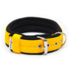 El Perro Halsband 40 mm Halsband Wonder Collars