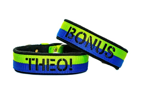 El Perro Double Color 50 mm Halsband Wonder Collars