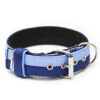 El Perro Double Color 50 mm Halsband Wonder Collars