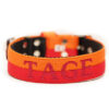 El Perro Double Color 50 mm Halsband Wonder Collars