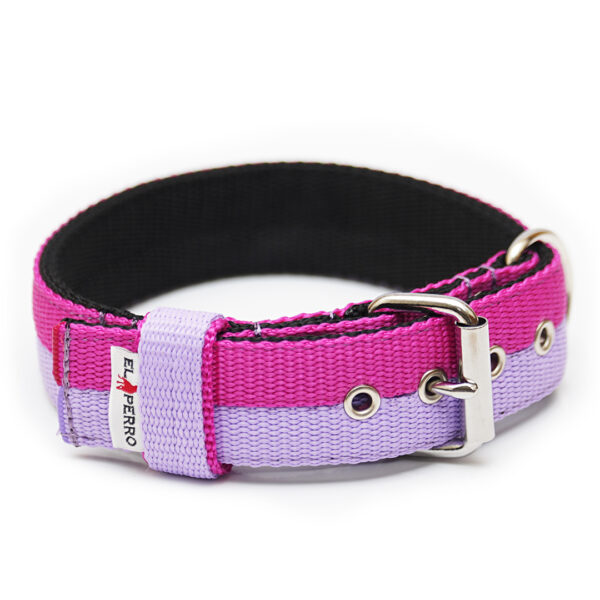 El Perro Double Color 50 mm Halsband Wonder Collars