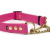 Accdog Biothane® Martingale Med Kedja 19 mm Halsband Wonder Collars