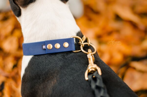 Accdog Biothane® Martingale Med Kedja 19 mm Halsband Wonder Collars