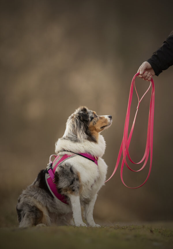 Accdog Biothane® Spårlina 16 mm Koppel Wonder Collars