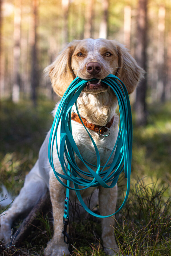 Accdog Biothane® Spårlina 16 mm Koppel Wonder Collars