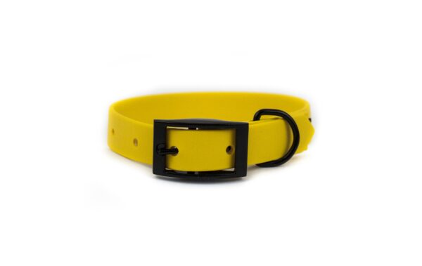 Accdog Biothane® Halsband 25 mm Halsband Wonder Collars