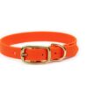 Accdog Biothane® Halsband 25 mm Halsband Wonder Collars