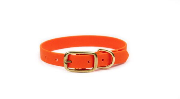 Accdog Biothane® Halsband 25 mm Halsband Wonder Collars