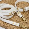 Accdog Biothane® Halsband 25 mm Halsband Wonder Collars