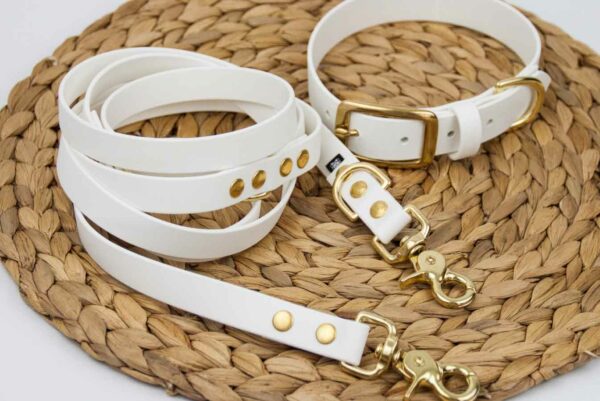 Accdog Biothane® Halsband 25 mm Halsband Wonder Collars