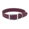 Accdog Biothane® Halsband 25 mm Halsband Wonder Collars