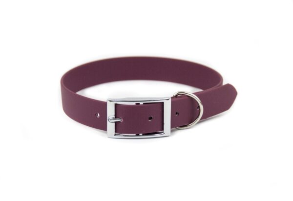 Accdog Biothane® Halsband 25 mm Halsband Wonder Collars