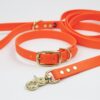 Accdog Biothane® Halsband 25 mm Halsband Wonder Collars