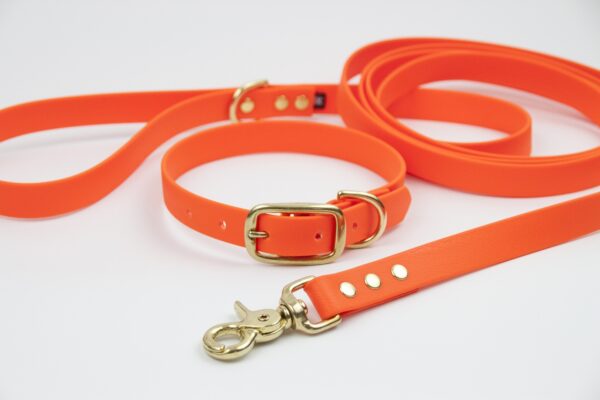 Accdog Biothane® Halsband 25 mm Halsband Wonder Collars