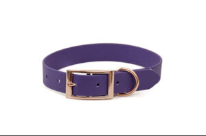 Accdog Biothane® Halsband 25 mm Halsband Wonder Collars