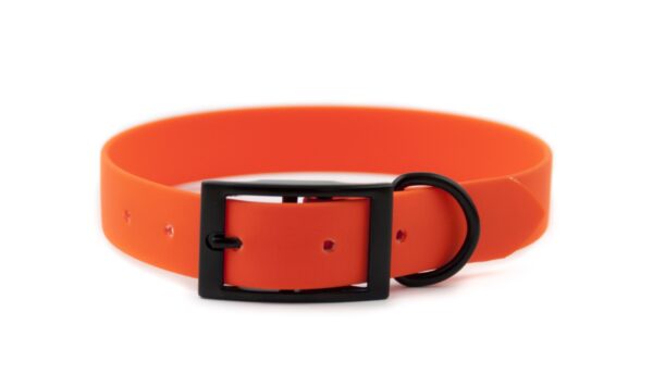 Accdog Biothane® Halsband 25 mm Halsband Wonder Collars