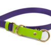 Accdog Biothane® Rainbow Halvstryp Halsband 16 mm Halsband Wonder Collars