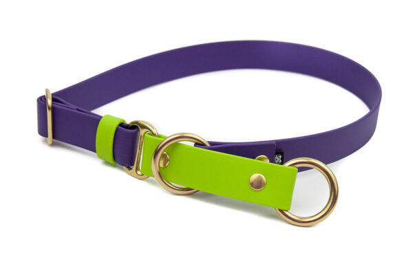 Accdog Biothane® Rainbow Halvstryp Halsband 16 mm Halsband Wonder Collars