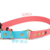 Accdog Biothane® Rainbow Halvstryp Halsband 16 mm Halsband Wonder Collars