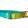 Accdog Biothane® Rainbow Halvstryp Halsband 16 mm Halsband Wonder Collars