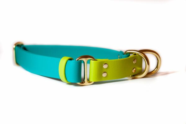 Accdog Biothane® Rainbow Halvstryp Halsband 16 mm Halsband Wonder Collars