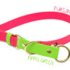 Accdog Biothane® Rainbow Halvstryp Halsband 16 mm Halsband Wonder Collars