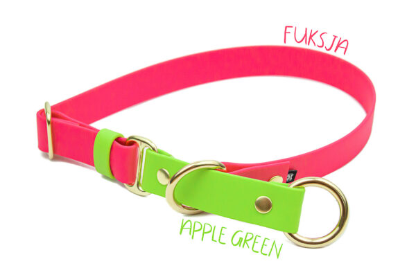 Accdog Biothane® Rainbow Halvstryp Halsband 16 mm Halsband Wonder Collars