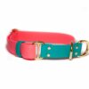 Accdog Biothane® Rainbow Halvstryp Halsband 16 mm Halsband Wonder Collars