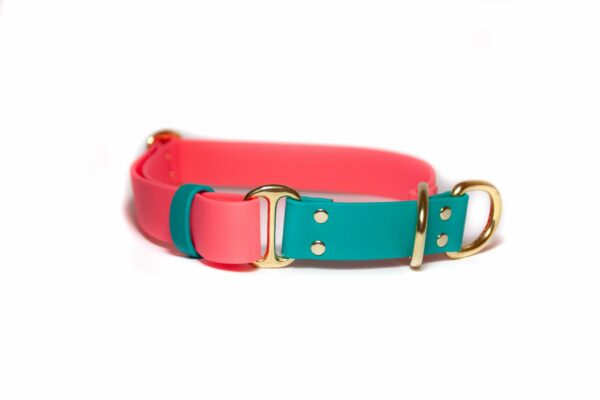 Accdog Biothane® Rainbow Halvstryp Halsband 16 mm Halsband Wonder Collars