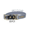 Accdog Biothane® Rainbow Halvstryp Halsband 16 mm Halsband Wonder Collars