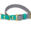 Accdog Biothane® Rainbow Halvstryp Halsband 16 mm Halsband Wonder Collars