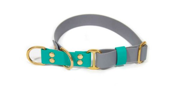 Accdog Biothane® Rainbow Halvstryp Halsband 16 mm Halsband Wonder Collars