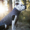 Finnero Sport Softshell Jacka – Mörk Grå Hundkläder Wonder Collars