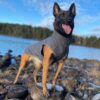 Finnero Sport Softshell Jacka – Mörk Grå Hundkläder Wonder Collars