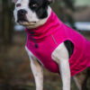 Finnero Sport Softshell Jacka – Rosa Hundkläder Wonder Collars