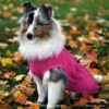 Finnero Sport Softshell Jacka – Rosa Hundkläder Wonder Collars