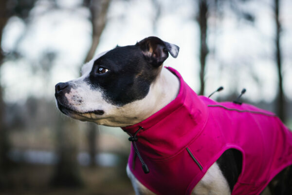 Finnero Sport Softshell Jacka – Rosa Hundkläder Wonder Collars