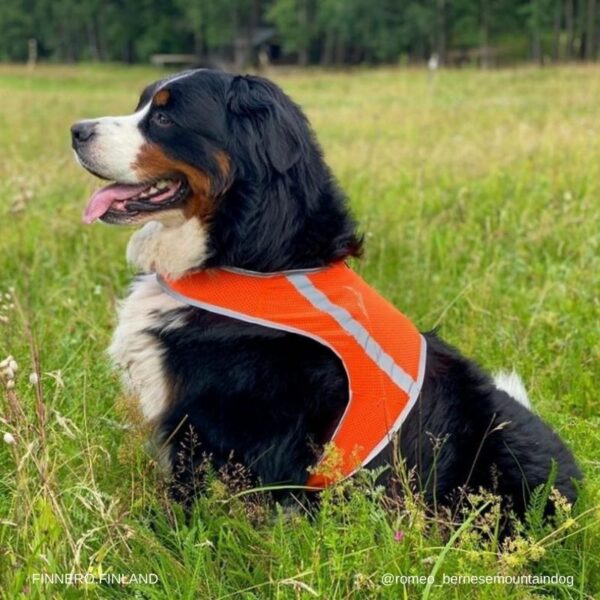 Finnero Atte Reflexväst Hundkläder Wonder Collars