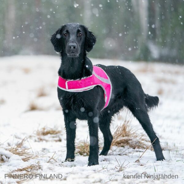 Finnero Atte Reflexväst Hundkläder Wonder Collars