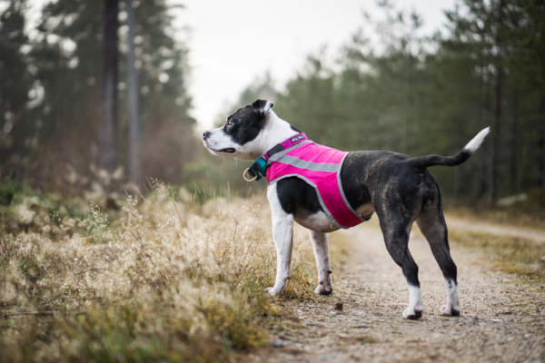 Finnero Atte Reflexväst Hundkläder Wonder Collars